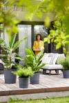 greensense aqua care round 43cm charcoal grey